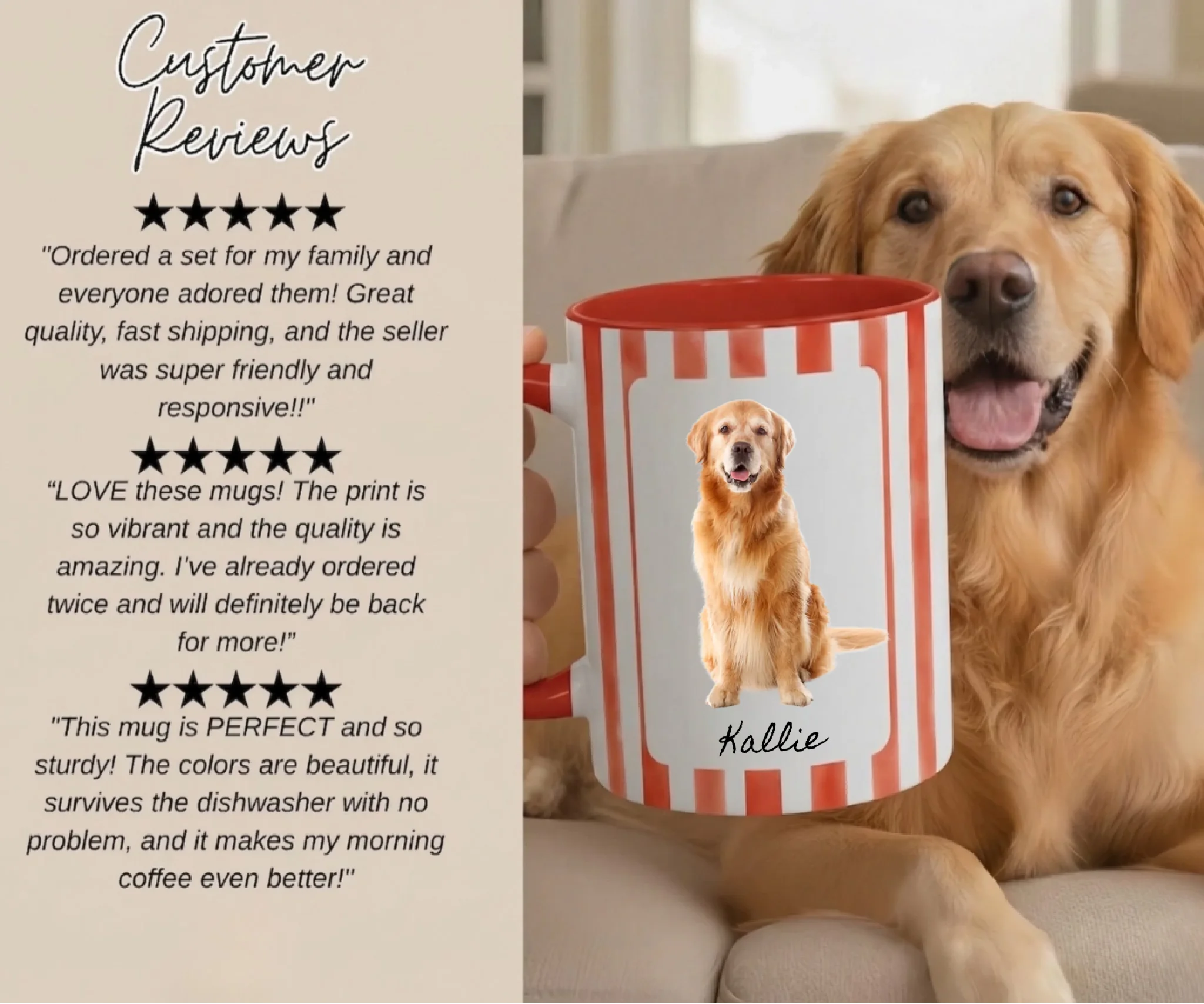 dogmockup