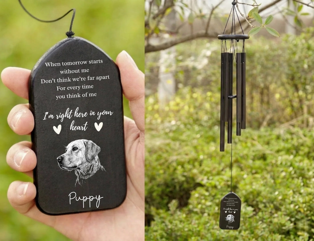 chimemockup1