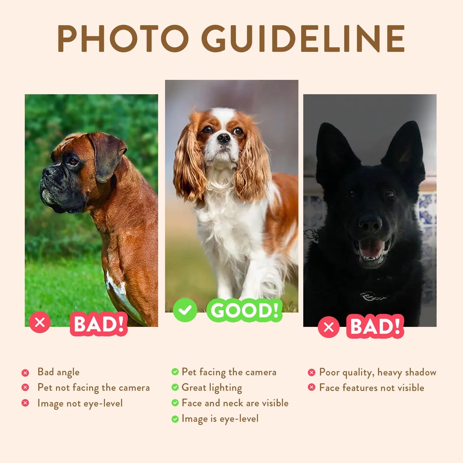 Personalized Digital Pet Portrait from Photo – Custom Dog & Cat Memorial Wall Art
